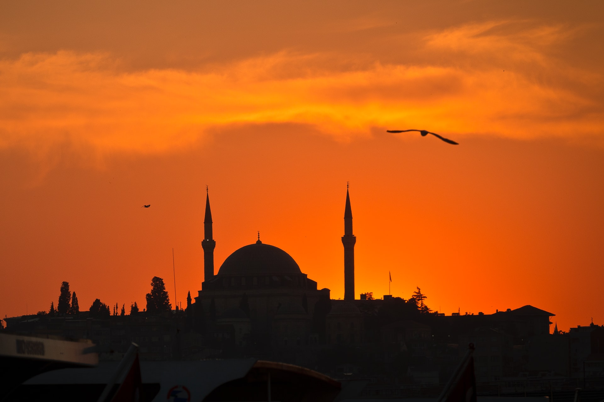 من كان بيده شربة ماء وقت السحور في رمضان